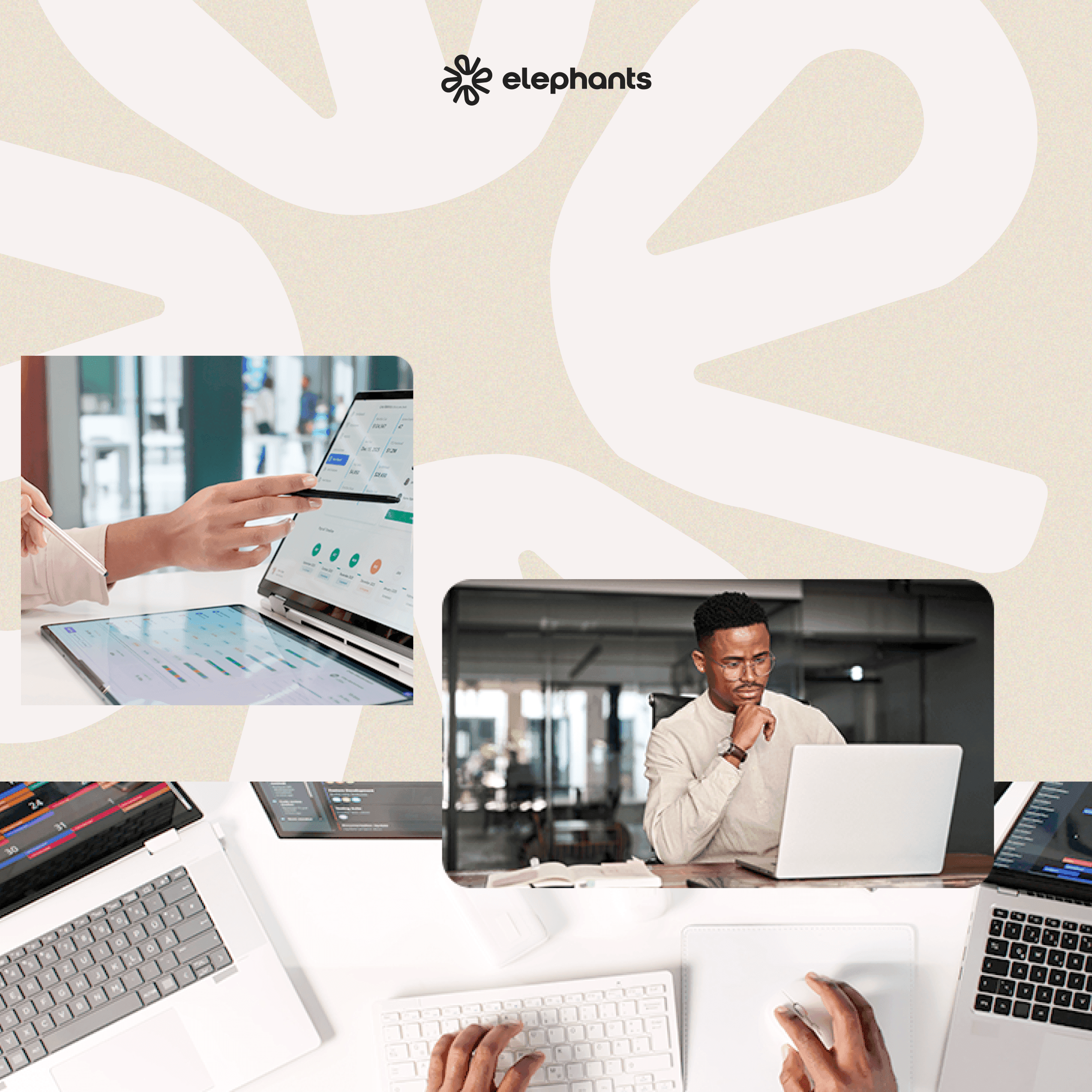 2026 Guide to Business Spend Management Software | Elephants Inc.